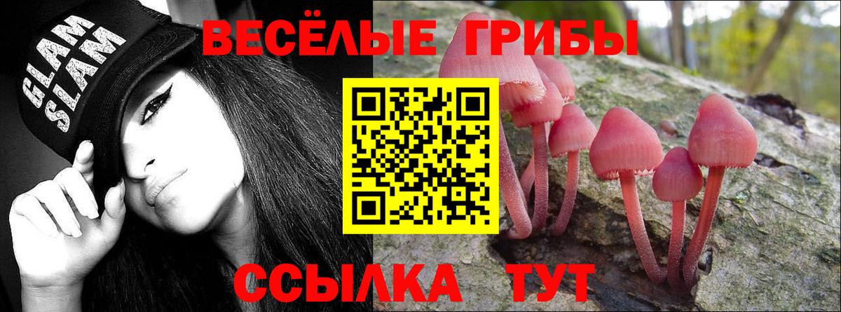 Бор  Псилоцибиновые грибы мицелий  Вход с VPN  Галлюциногенные грибы прущие грибы 