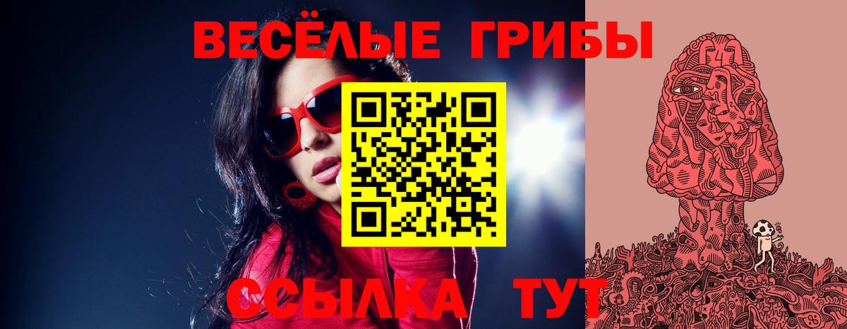 Псилоцибиновые грибы Psilocybine cubensis Бор